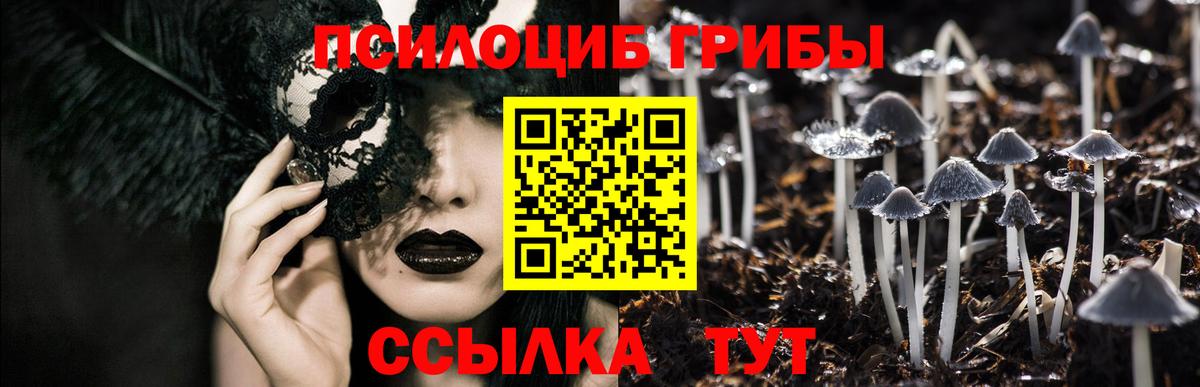 Псилоцибиновые грибы мухоморы Грозный
