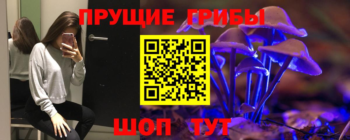 Псилоцибиновые грибы Psilocybine cubensis  Вход с VPN  Псилоцибиновые грибы MAGIC MUSHROOMS  Грозный 